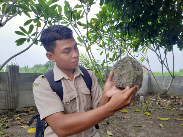 Petugas Dinas P dan K memantau temuan kepala arca di Dusun Balongrejo, Desa Pundong Kecamatan Diwek.