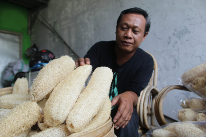 Lutful Hakim sedang mengolah gambas kering untuk dibuat spons cuci dan spons mandi ramah lingkungan