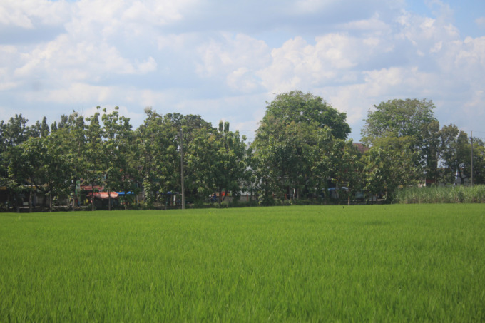 TKD Pandanwangi , Kecamatan Diwek yang rencananya akan digunakan sebagai lahan relokasi RSUD Jombang