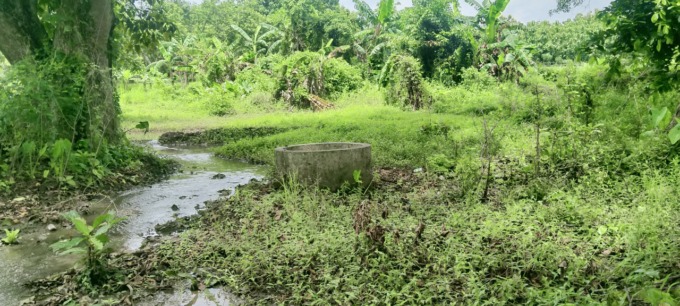 Lokasi sumur tua yang dikeramatkan di Desa Sukodadi, Kecamatan Kabuh