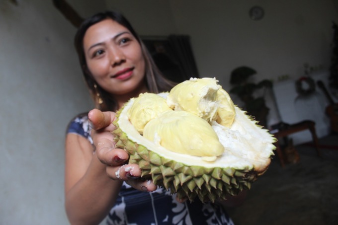 Durian Mbah Woro khas Dusun Jeruk, Desa Karangan ini memiliki rasa 11-12 dengan Durian Bido dari Wonosalam.