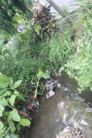 Talud drainase jalan nasional ini jebol dan membuat sungai baru yang memperburuk genangan di Dusun Denanyar Selatan