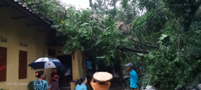 Salah satu pohon yang ambruk dan menimpa rumah di kecamatan Sumobito
