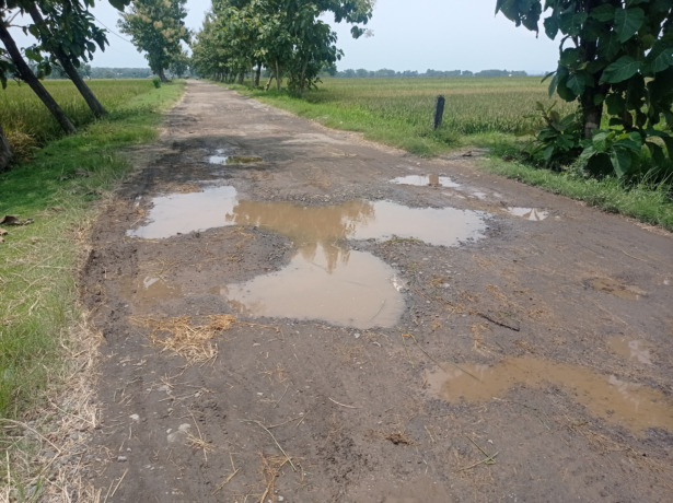Kondisi jalan penghubung Desa Gebangbunder dan Desa Bangsri, di Kecamatan Plandaan yang rusak berat