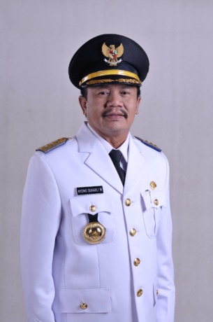Nyono SUharli Wihandoko, Bupati Jombang periode 2013-2018.