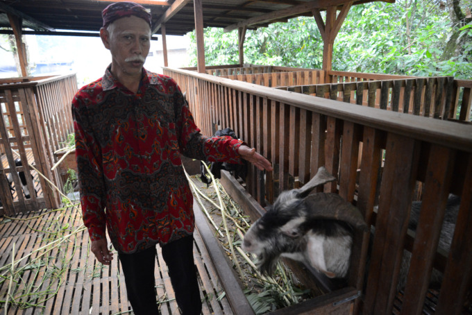 Sardi, 63, warga Dusun Tegalrejo, Desa Jarak, Kecamatan Wonosalam membudidayakan kambing peranakan etawa.