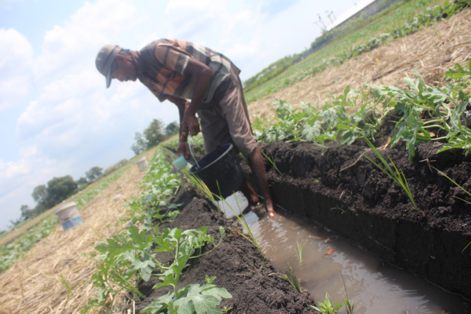 Petani di Desa Watudakon, Kecamatan Kesamben, Jombang mulai membuat jalur air untuk persiapan tanam semangka.