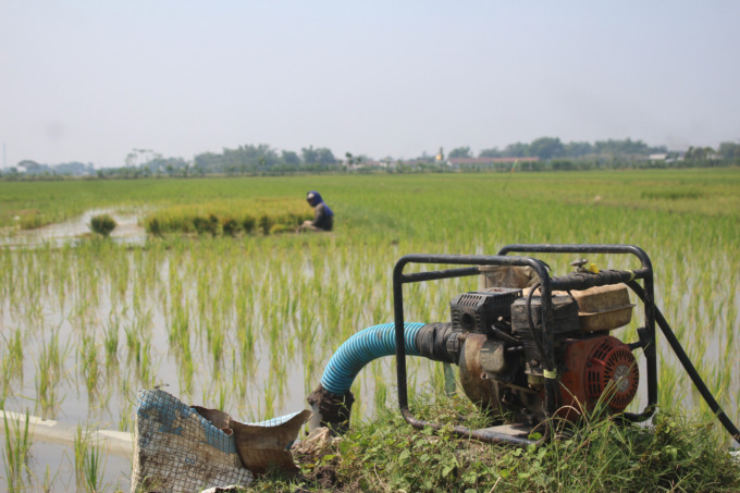 Petani di Desa Carangrejo, Kecamatan Kesamben harus menggunakan diesel dan memompa air dari sumur bor untuk pengairan sawah di musim kemarau