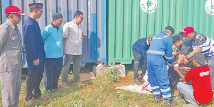 KEBERSAMAAN: GM PT TPPI Tuban Sugiyo (dua dari kiri) bersama Ketua BDI TPPI Tuban Iswahyudi Sumarsono (tiga dari kiri) mengikuti penyembelihan sapi kurban di lingkungan kilang TPPI kemarin (29/6).