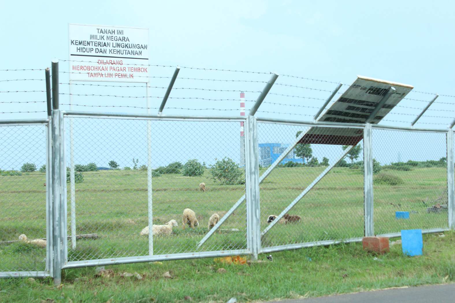 BAKAL DIPERLUAS: Lahan yang sudah dibebaskan untuk proyek kilang Pertamina di Desa Sumurgeneng, Kecamatan Jenu yang bakal diperluas. (Yudha Satria Aditama/Radar Tuban)