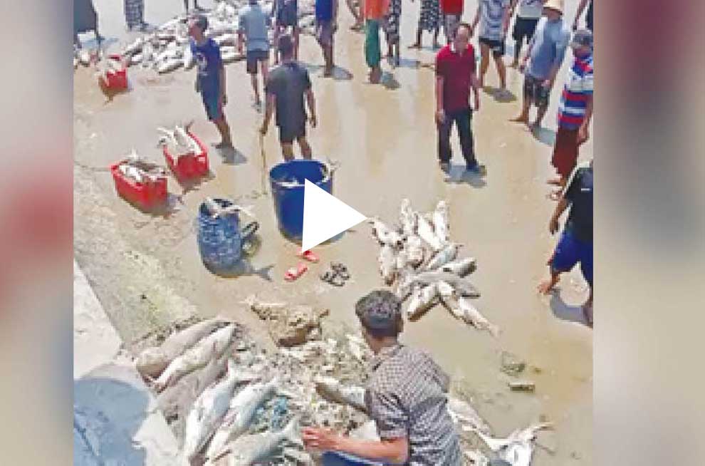 VIRAL DI MEDSOS: Rekaman video salah satu nelayan Kelurahan Karangsari, Kecamatan Tuban yang mendapat tangkapan ikan yang melimpah.