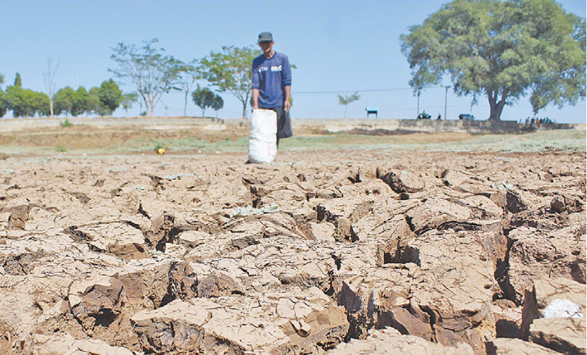KERING: Rekahan di dasar Waduk Karanglo, Desa Karanglo, Kecamatan Kerek akibat hampir empat bulan mengering. (M. Mahfudz Muntaha/Radar Tuban)