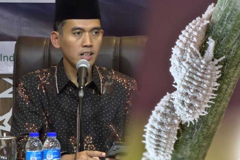 Ketua Majelis Ulama Indonesia (MUI) Bidang Fatwa Asrorun Niam dalam Catatan Laporan Tahunan Komisi Fatwa MUI Tahun 2022 di Jakarta, Kamis (29/12/2022). (ANTARA/Asep Firmansyah/Youtube-MUI TV)