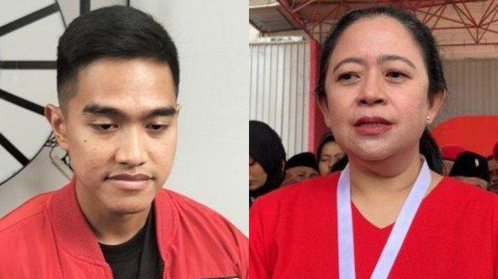aesang Pangarep (kiri) dan Puan Maharani (kanan). Pertemuan Kaesang dengan Puan merupakan bentuk silaturahmi sekaligus meminta wejangan.(Tribunnews.com)