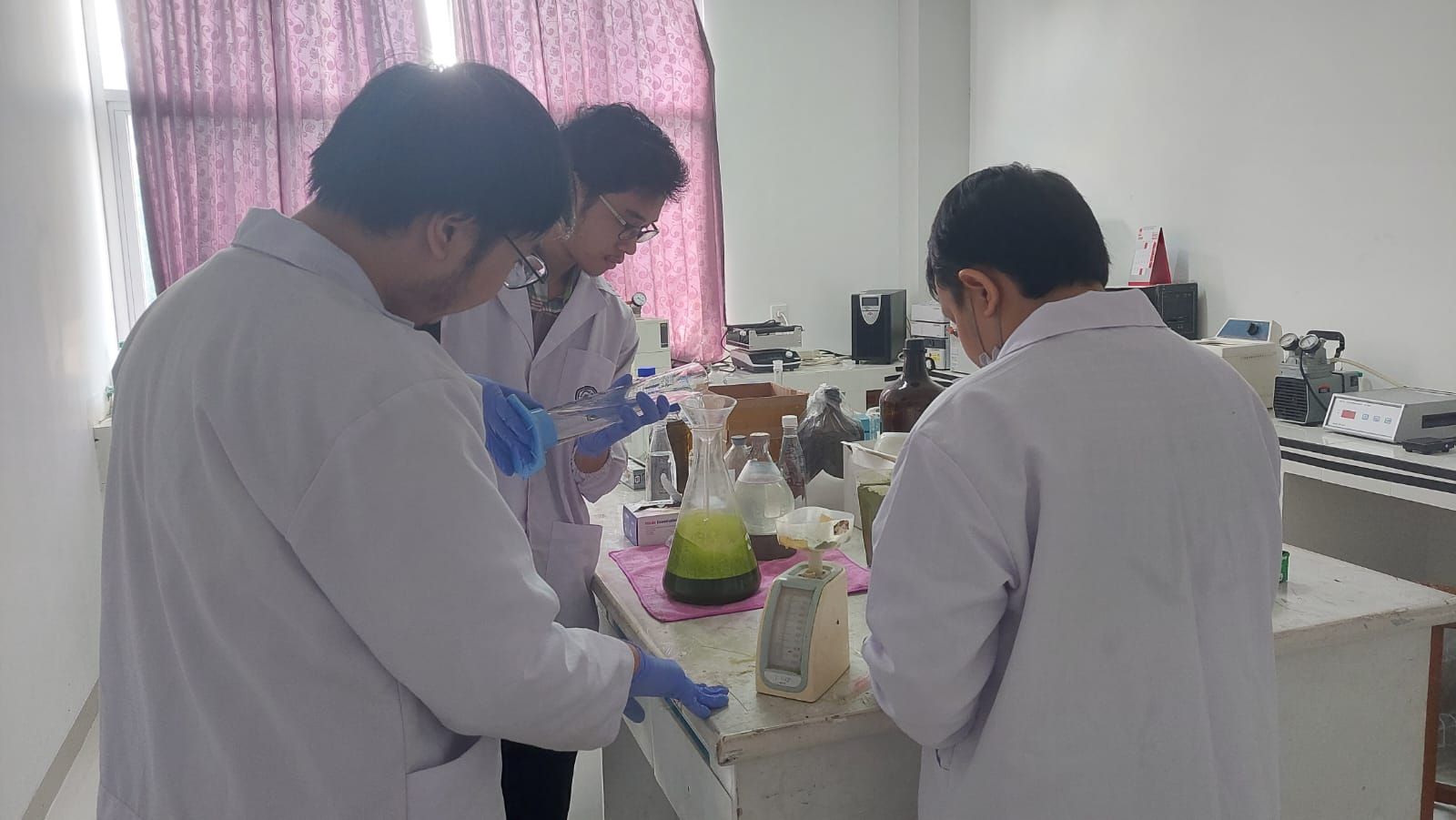 Mahasiswa UB Teliti Ekstrak Kelor Sebagai Alternatif Baru Sembuhkan Alzheimer. (rri.co.id)