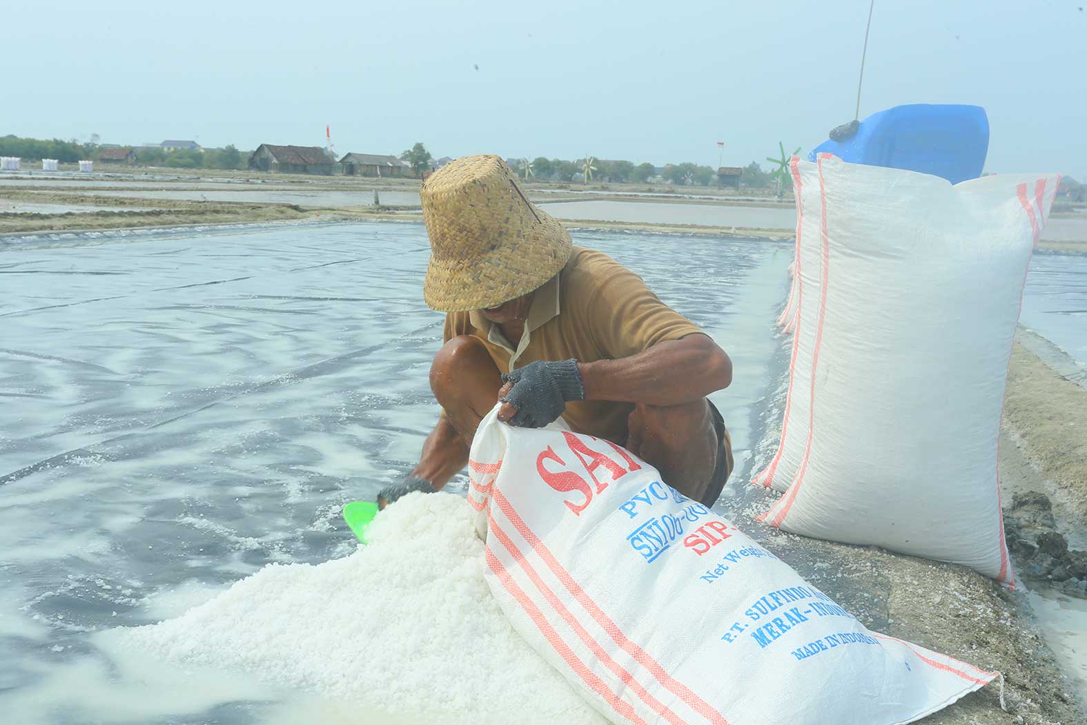 PRODUKSI MELIMPAH : Salah satu petani garam di Desa Leran Wetan, Kecamatan Palang memanen lahan garamnya.