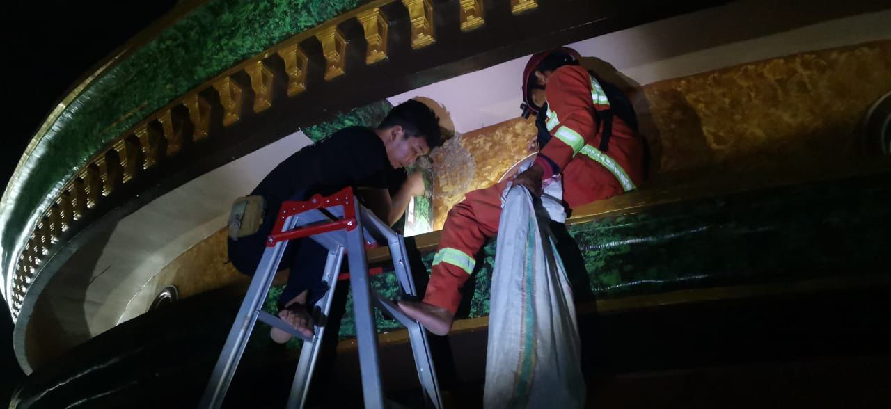 EVAKUASI: Petugas Damkar saat melakukan penanganan sarang tawon di Desa Bejagung, Kecamatan Semanding.