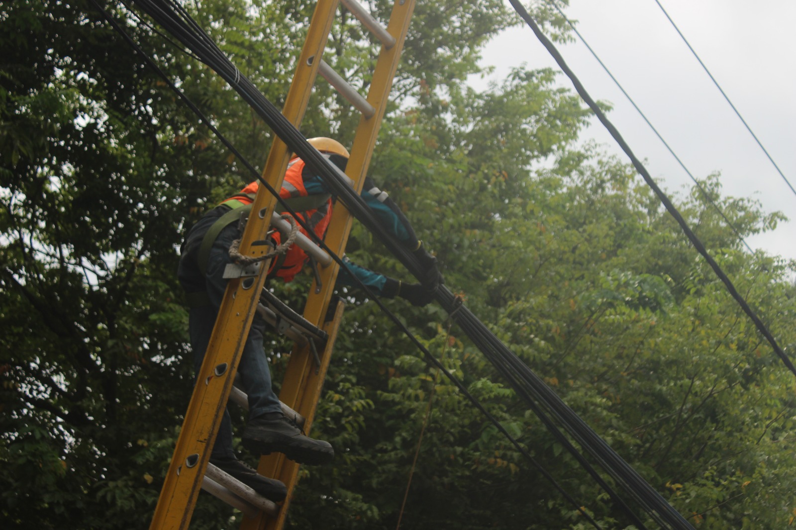 PERAPIHAN: Petugas PLN melakukan perapihan dan pemeliharaan kabel di sepanjang Kota Tuban
