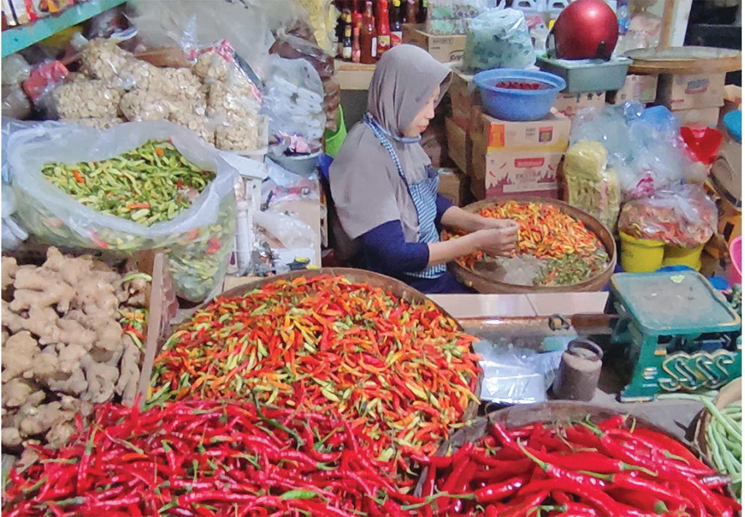 STOK BERKURANG: Pedagang sayur di Pasar Baru Tuban mengeluhkan harga cabai yang semakin tidak terkendali. Kini harganya tembus Rp 100 ribu per kg.