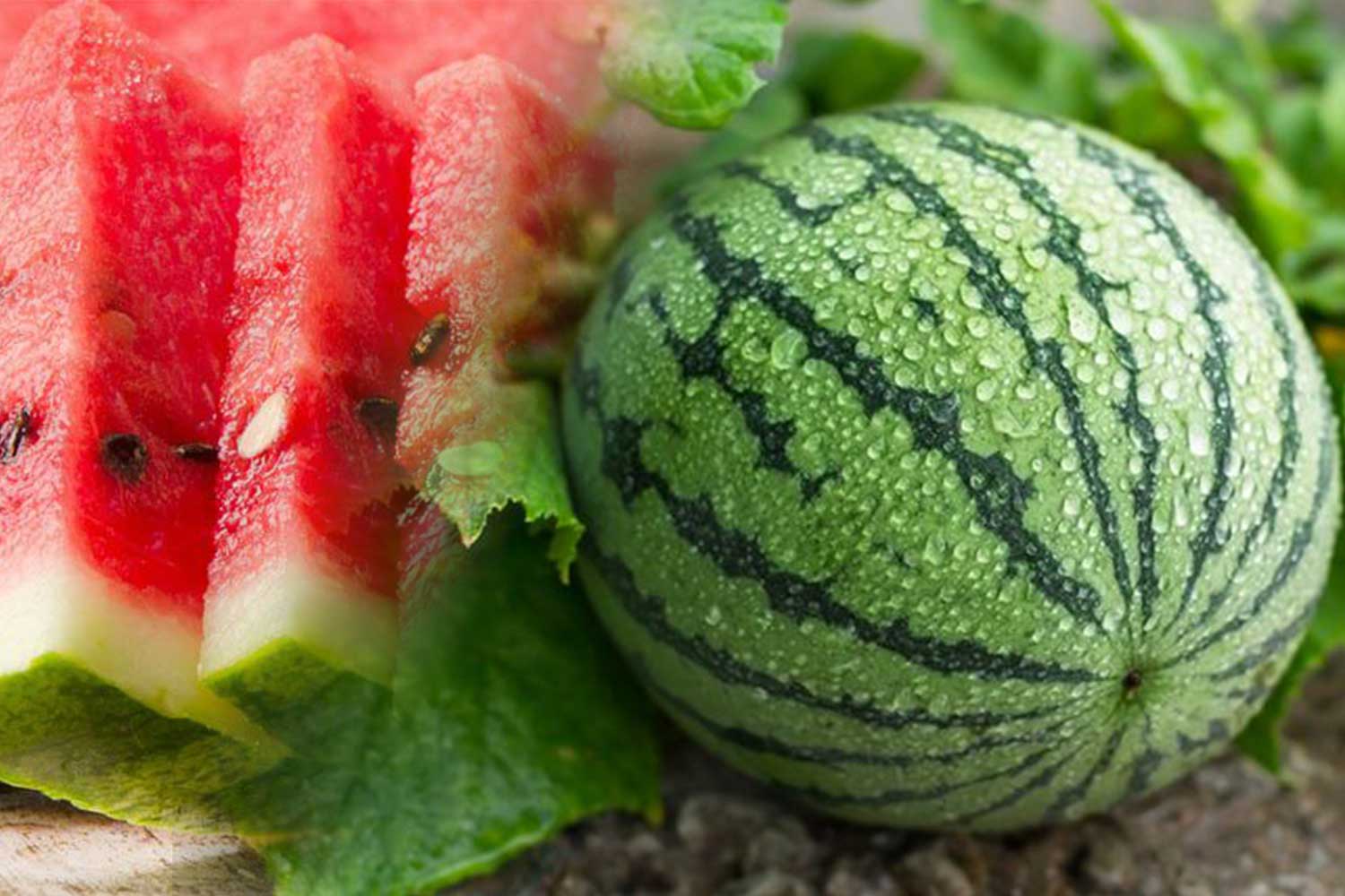 Buah semangka yang memiliki banyak vitamin dan mineral untuk menjaga daya tahan tubuh.