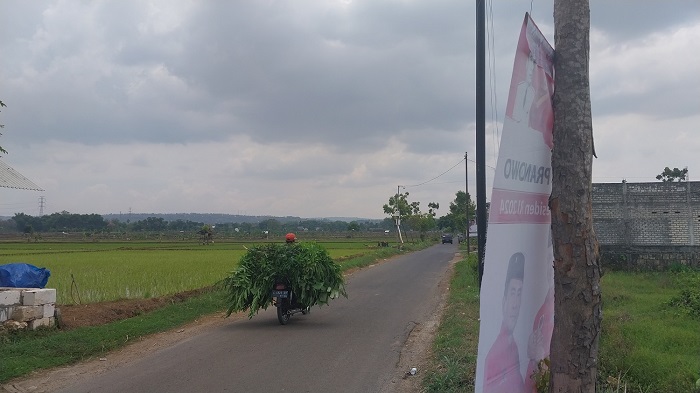 JELAS MELANGGAR: APK caleg terpasang di pohon penghijauan. Secara aturan, APK dilarang dipasang di pohon penghijauan.