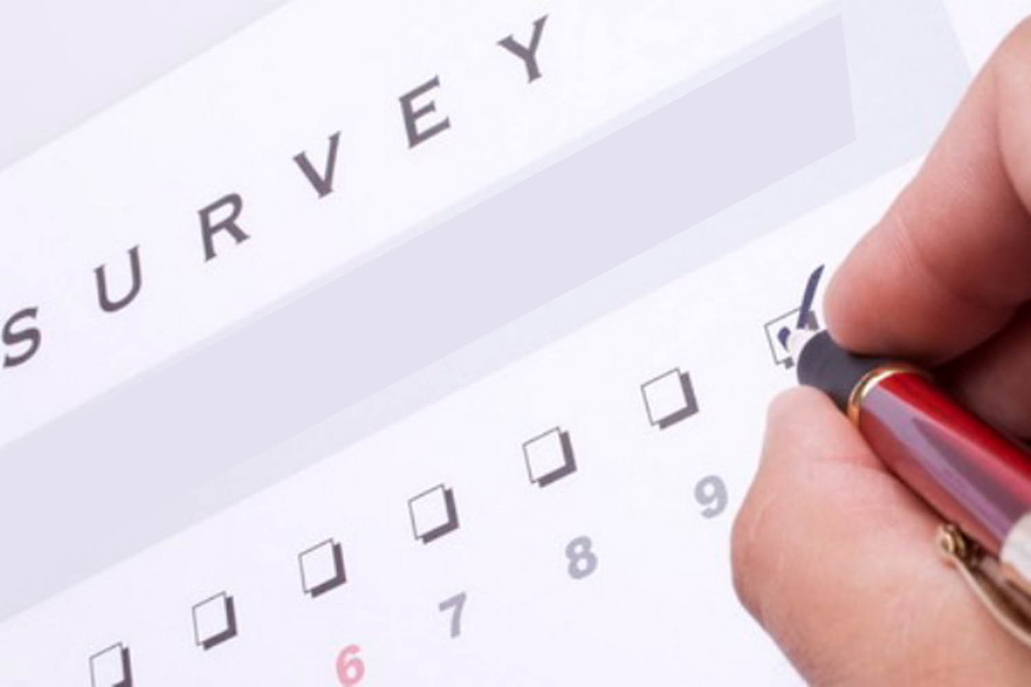 Ilustrasi Survey