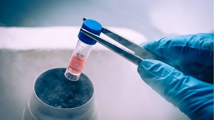 Stem Cell berpotensi menjadi pengobatan untuk diabetes