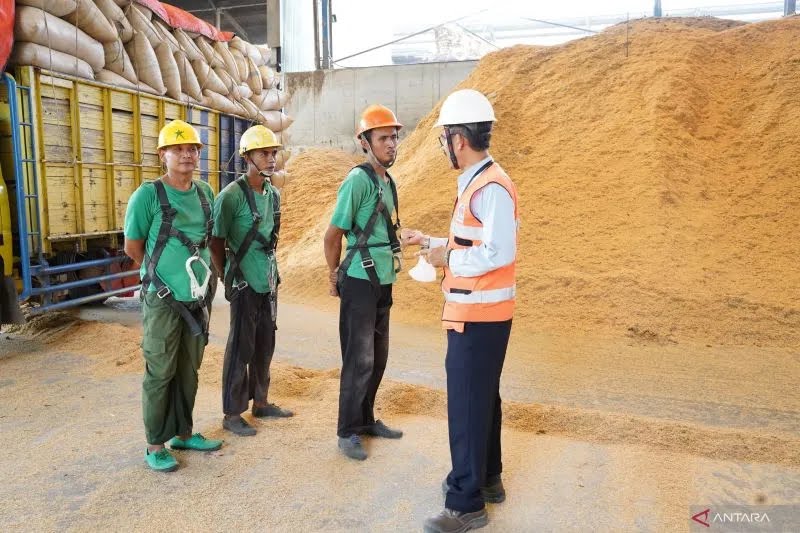 Produksi Semen Grobogan di Desa Sugihmanik, Kecamatan Tanggungharjo, Kabupaten Grobogan, Jawa Tengah.