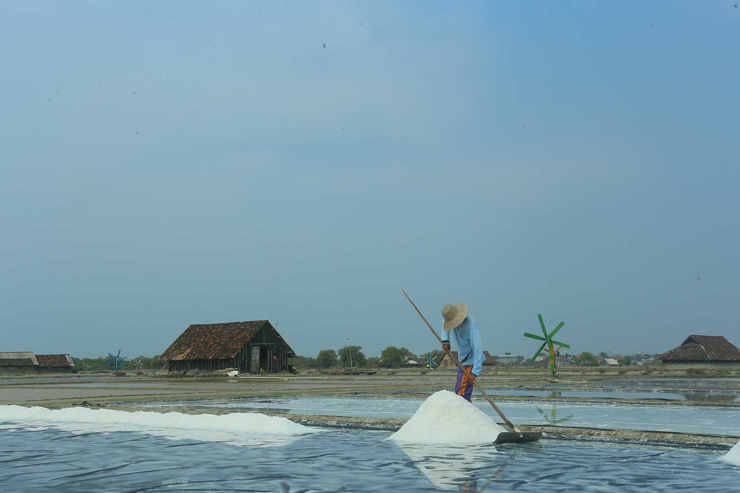 MENERIMA MANFAAT: Budiono, salah satu petani garam yang merasakan dampak positif dari PLTB yang menunjang jumlah panen dengan biaya lebih hemat.