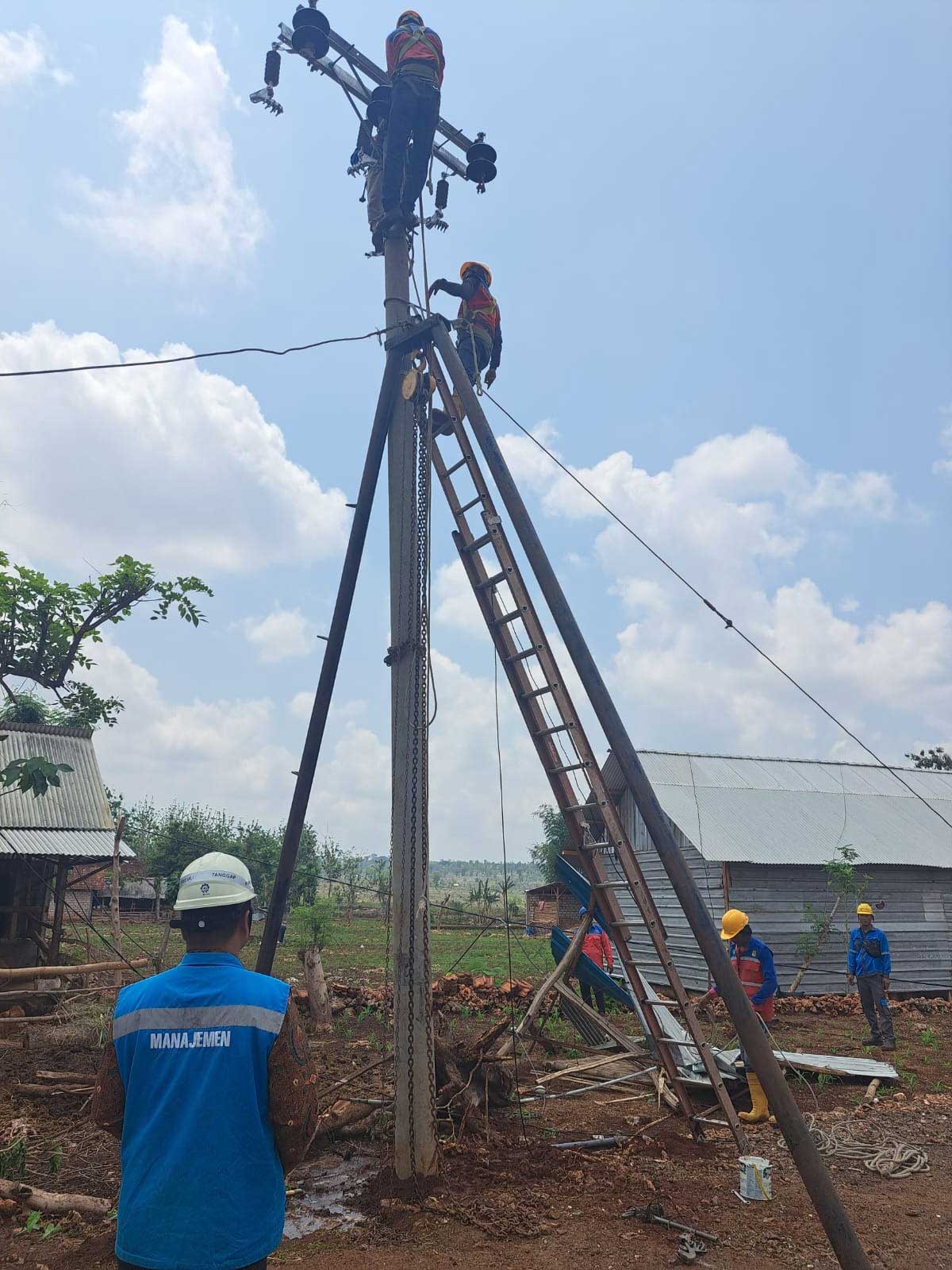TUMBANG: Perbaikan tiang listrik di wilayah Kecamatan Rengel karena tertimpa pohon roboh.