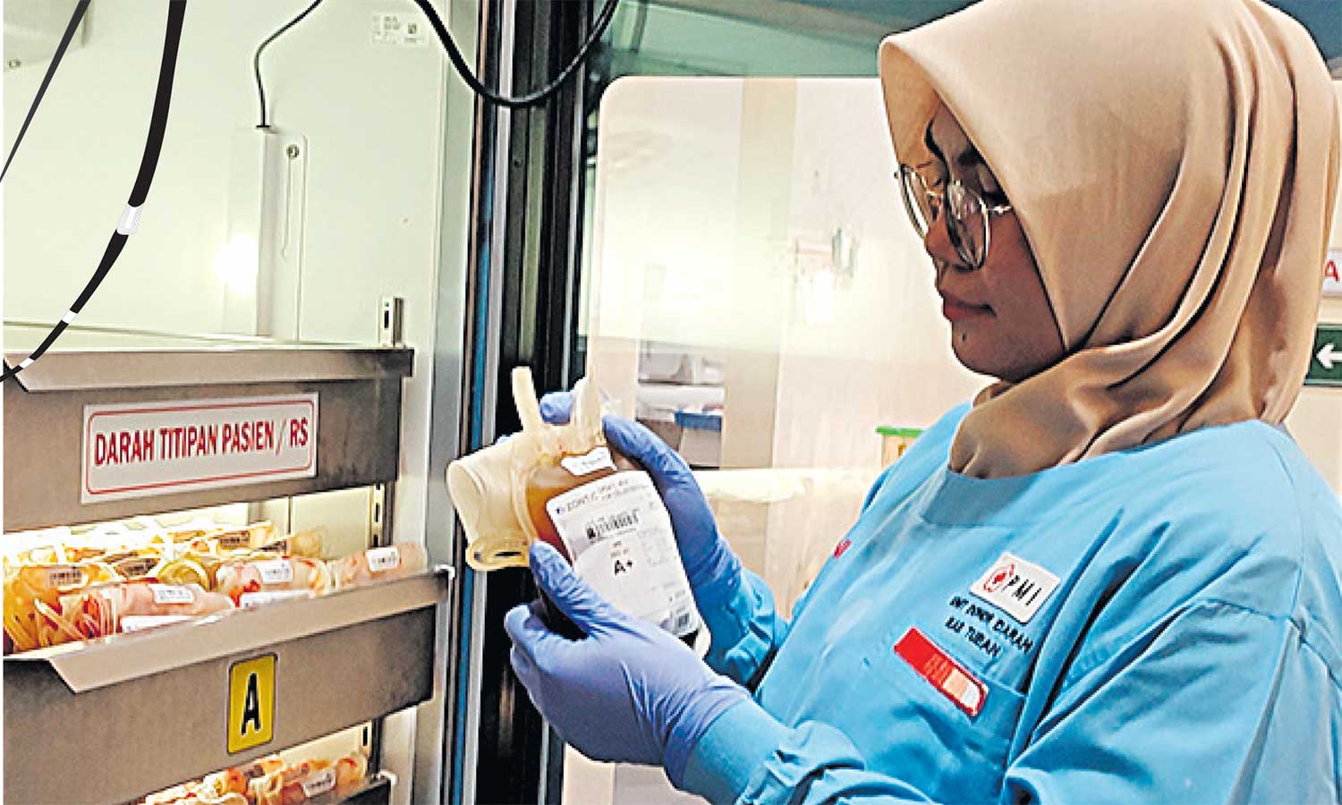 STOK AMAN: Salah satu petugas piket yang menunjukkan stok kantong darah di laboratorium PMI Tuban, Rabu (17/1).