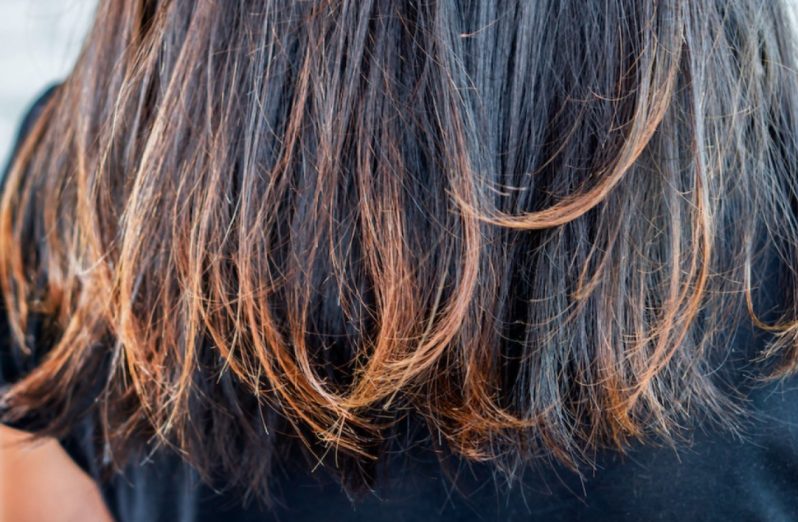Ilustrasi rambut bercabang