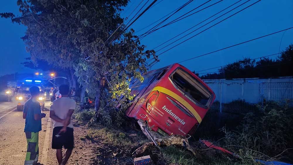 RINGSEK: Bus Indonesia setelah terlibat kecelakaan dengan truk tronton di Jalan Tuban-Bancar kilometer 17 &ndash; 18, Desa Purworejo Kecamatan Jenu, Rabu (6/3).
