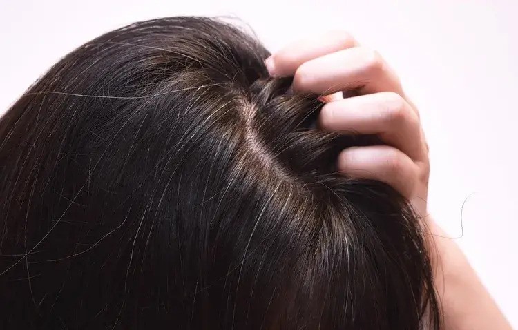 Ilustrasi rambut beruban