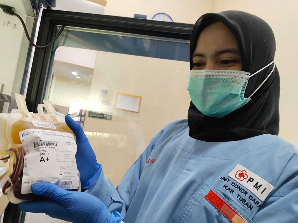 PASTIKAN STERIL: Petugas Unit Donor Darah Palang Merah Indonesia (UDD PMI) memeriksa stok kantong darah di laboratorium.