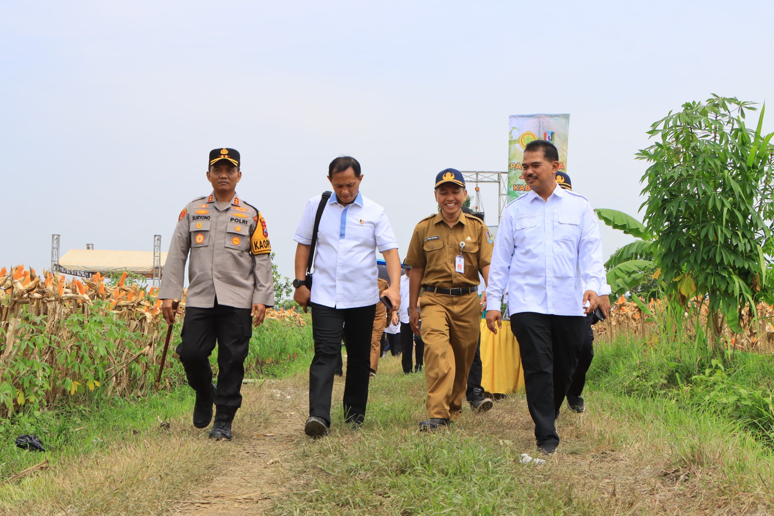 Brigjen Pol. Helfi Assegaf saat dampingi Kementan Panen Jagung di Tuban.