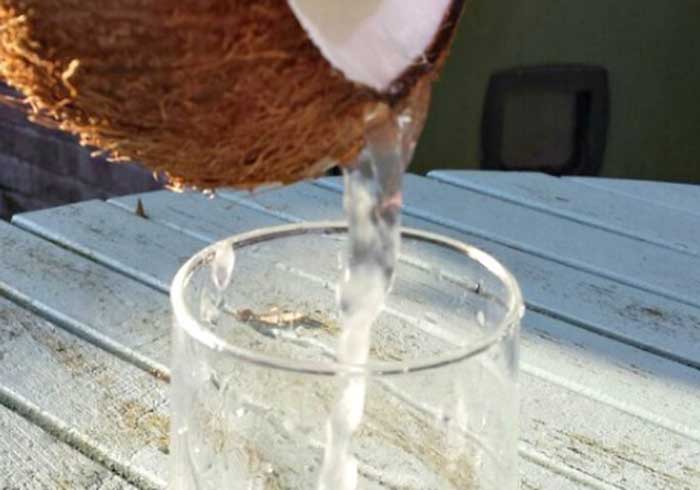 Ilustrasi manfaat minum air kelapa