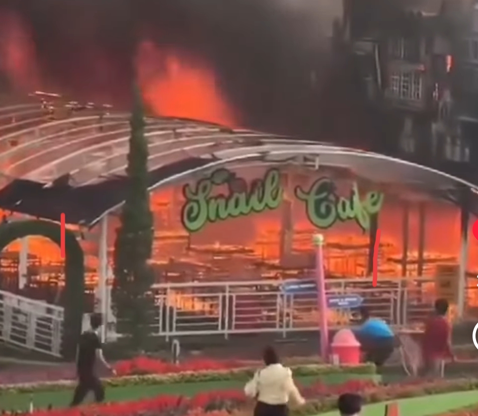 Potongan video kebakaran Taman Bunga Celosia di Bandungan Semarang yang beredar di media sosial.