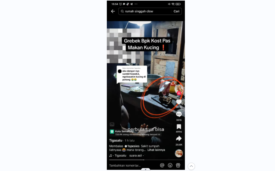 Bapak kos predator pemakan kucing yang berdalih untuk obati diabetes disebut warganet ODGJ