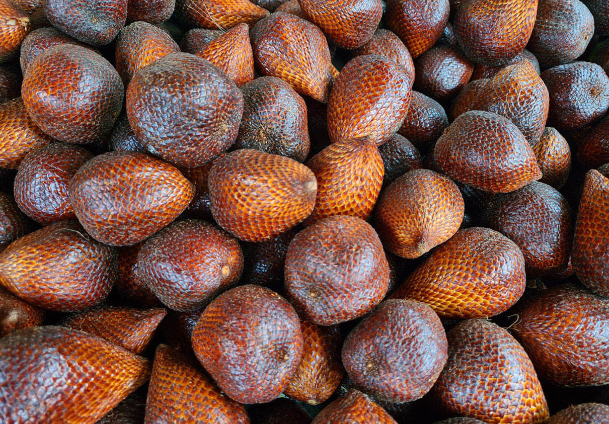 Buah salak, yang memiliki banyak khasiat.