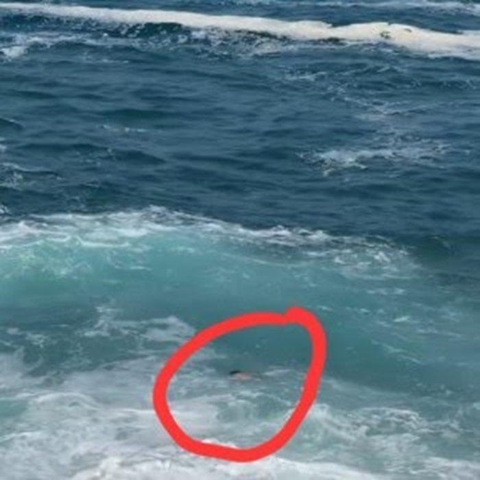 Detik-detik video yang memperlihatkan seseorang mengambang di pantai Tulungagung.