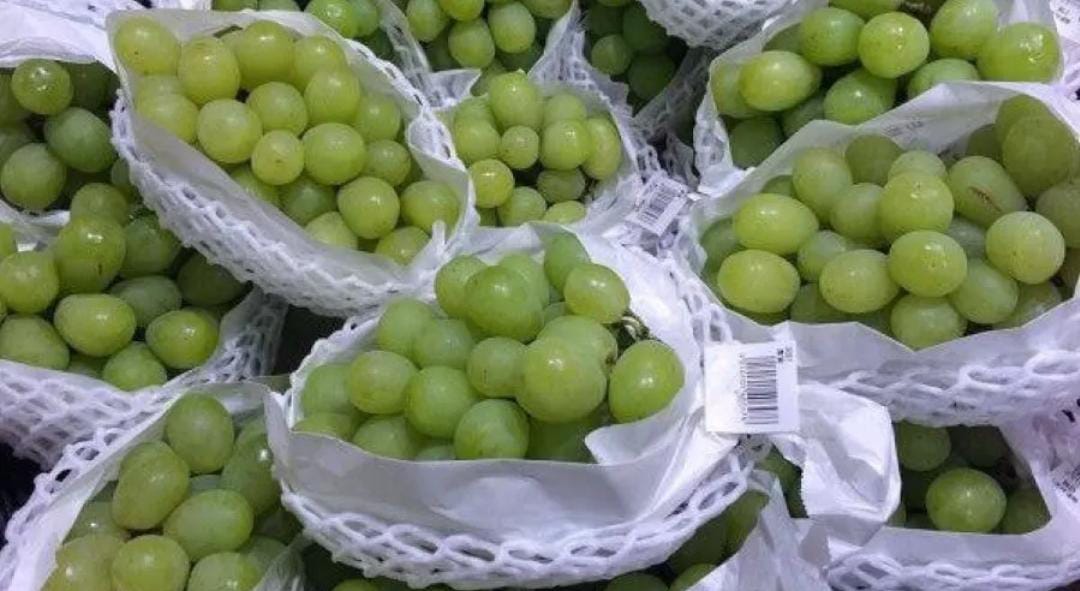 Anggur muscat yang disebut berbahaya bagi kesehatan.