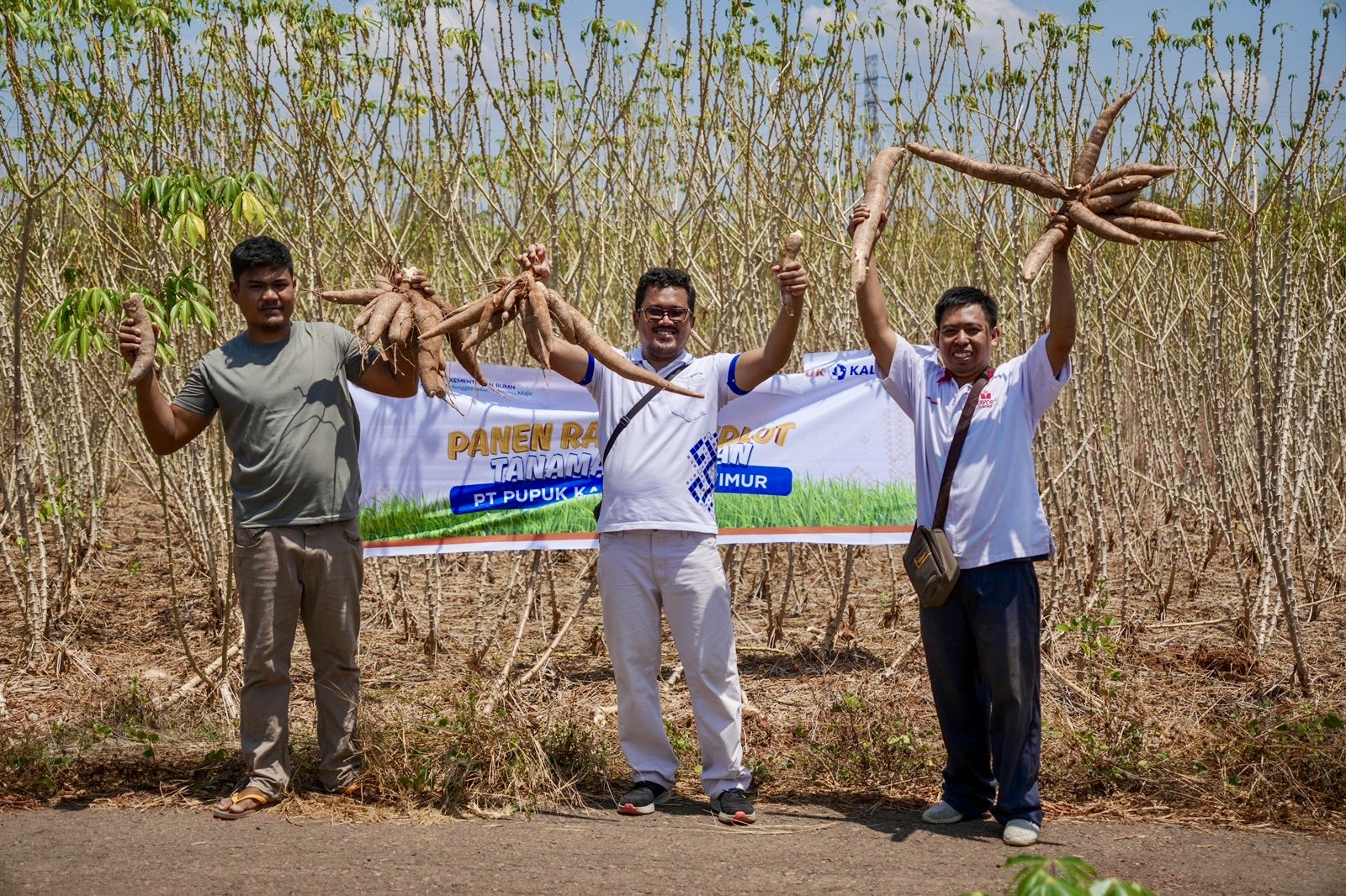 Panen Raya Demplot PT. Pupuk Kalimantan Timur