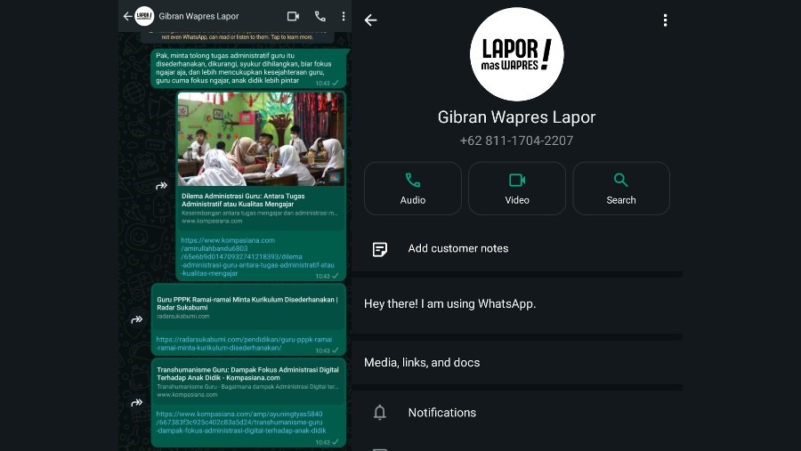 Warganet yang melaporkan akun Whatsapp Lapor Mas Wapres hanya centang satu.