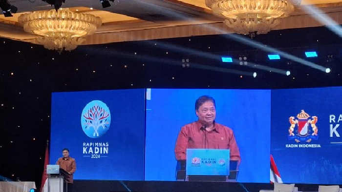 Pemerintah turunkan harga tiket pesawat domestik hingga 10 persen