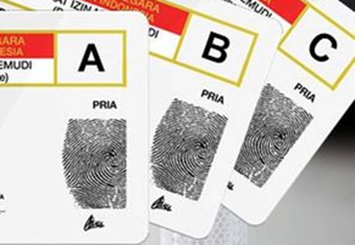 Sim Identitas Negara-negara Ini Memiliki Masa Berlaku SIM yang Lebih Panjang, Berbeda ...