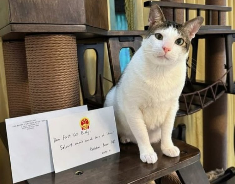 Bobby Kartanegara dapat rumah kucing mewah dari Kedutaan Besar Tiongkok di Indonesia