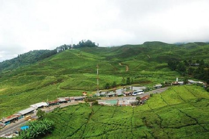 ilustrasi puncak