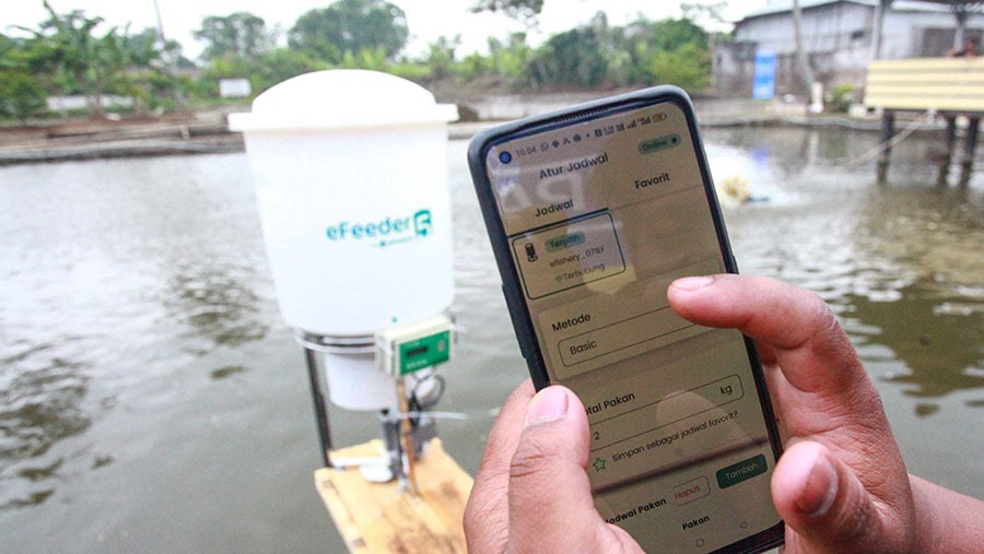 Perusahaan startup eFishery yang sedang bermasalah.