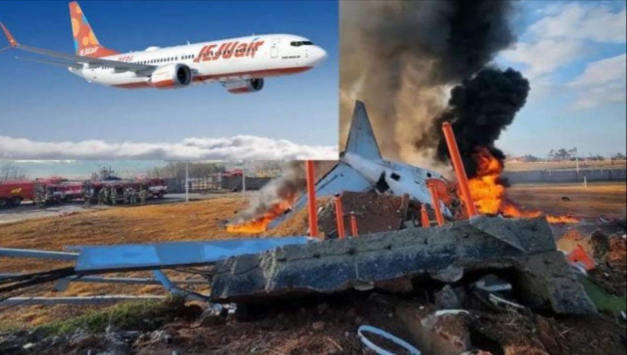 Potret pesawat Jeju Air yang hangus terbakar di Bandara Internasional Muan